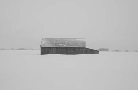 0020-barn_MG_3212 copy