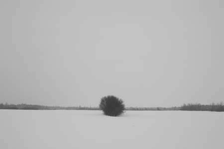 0190-landscape_MG_3121 copy