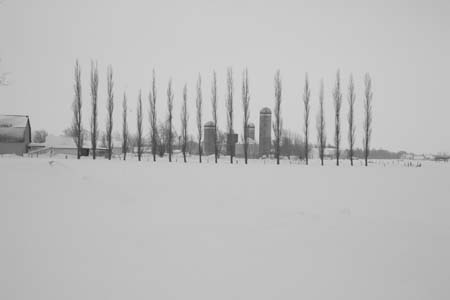 0230-village-cypresses_MG_3219 copy