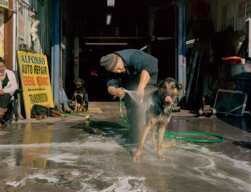 06_mukhopadhyay_shayok-20120307-willets-pt-dog-bath-3