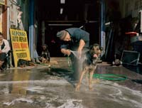 06_mukhopadhyay_shayok-20120307-willets-pt-dog-bath-3